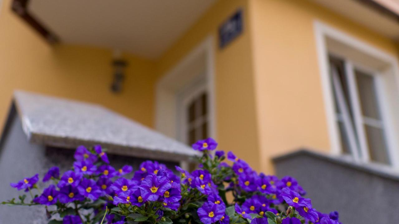 Ferienwohnung Claudia Salzburg Bagian luar foto