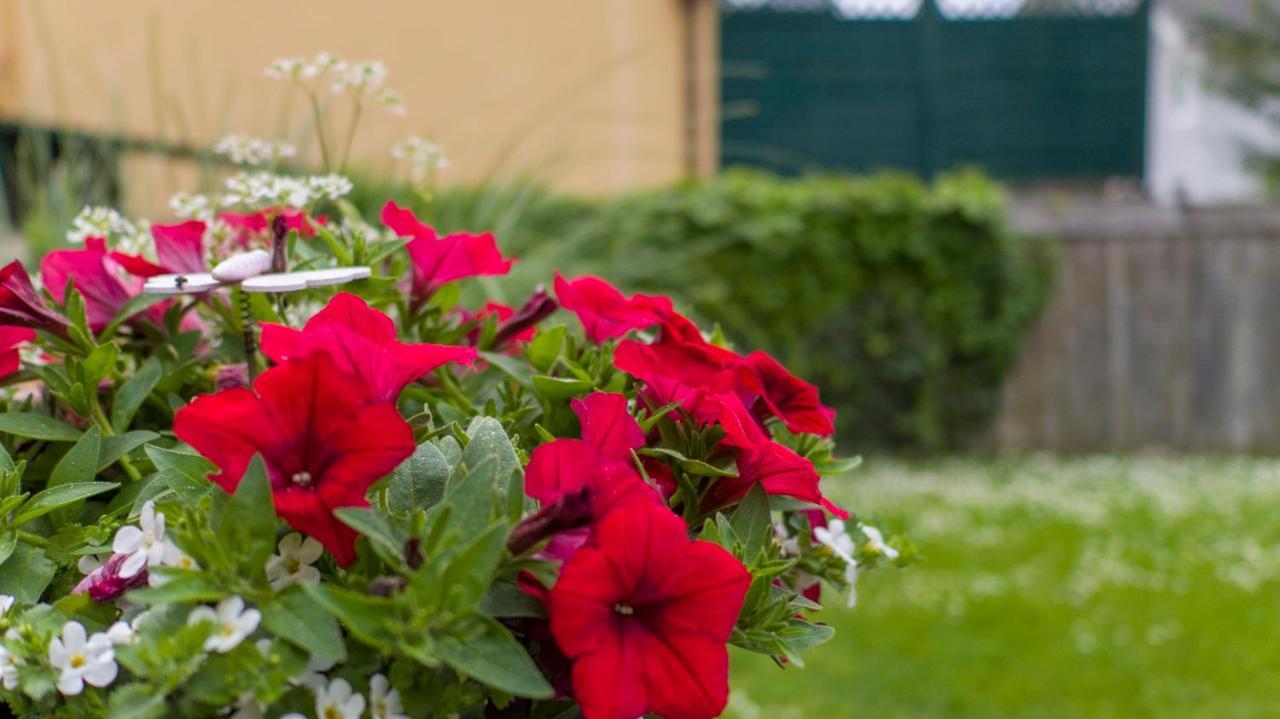 Ferienwohnung Claudia Salzburg Bagian luar foto